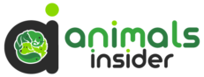 Animals Insider Logo